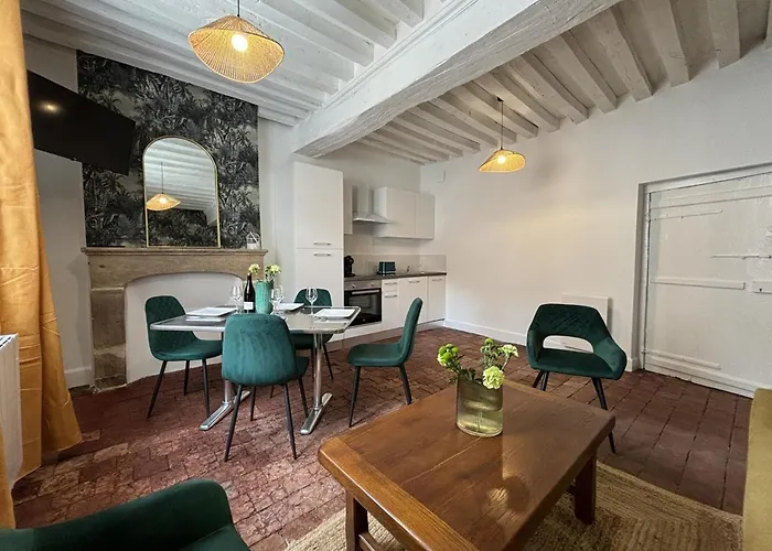 Апартаменты Duplex De Charme Au Coeur Historique De Avec Equipements Modernes Et Literie Incluse - Fr-1-489-523 Мулен