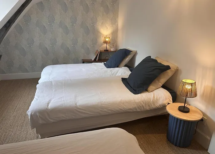 Апартаменты Duplex De Charme Au Coeur Historique De Avec Equipements Modernes Et Literie Incluse - Fr-1-489-523